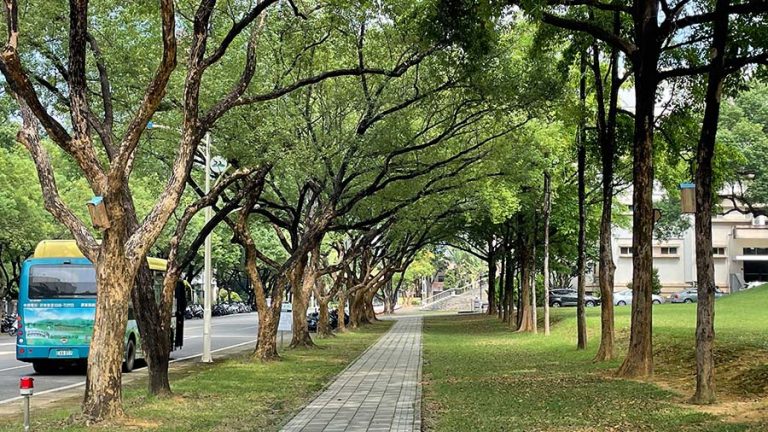 Featured Image- Green Campus